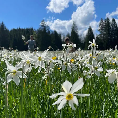 Alte Salzvilla Hétvégi ház