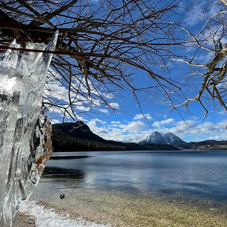 Alte Salzvilla * Bad Aussee