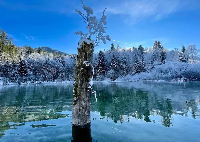 Alte Salzvilla Kır Evi *